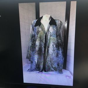 Ladies 4x sheer long sleeved blouse, soft colors, black collar and button trim